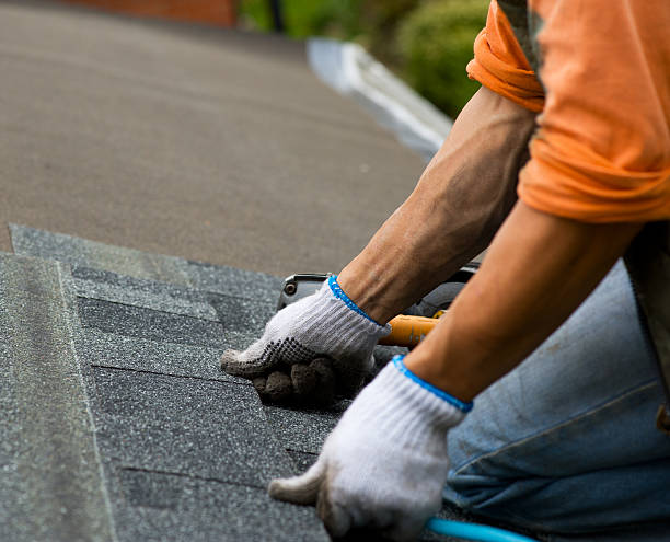 Best Metal Roofing Contractor  in Ruleville, MS