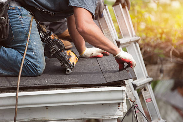 Best Gutter Installation and Roofing  in Ruleville, MS